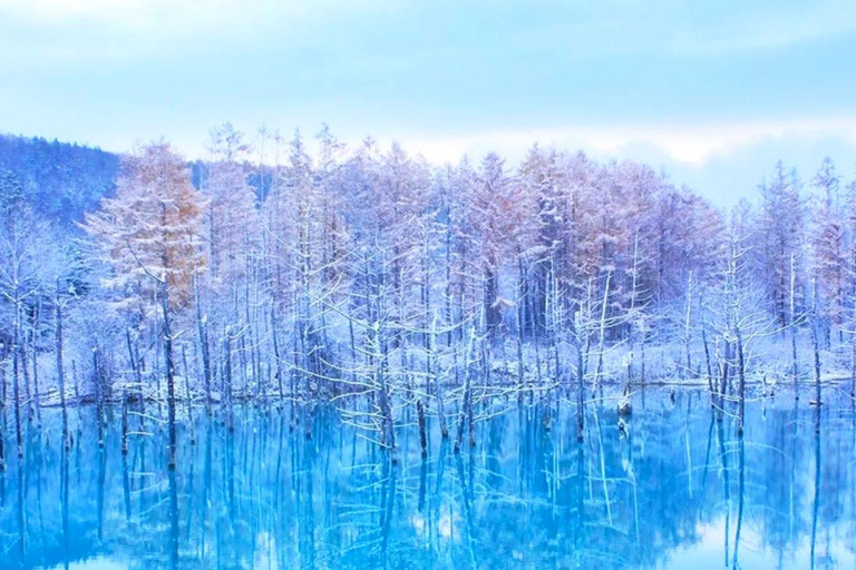 Hokkaido:Excursión de un día al Zoo de Asahiyama, las Cascadas de Shirahige y el Estanque de BieiDesde Sapporo: Visita al Zoo de Hokkaido, las Cascadas de Shirahige y el Estanque