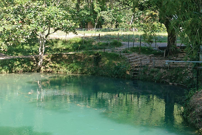 Bob Marley, Blue Hole, Secret Falls and Luminous Lagoon Tour From Montego Bay/ Falmouth/ Trelawny
