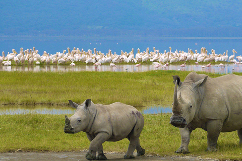 Lo mejor de la vida salvaje del Parque Nacional del Lago Nakuru desde Nairobi