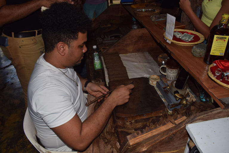 Monkey Tour Interaction and Historic Center (Puerto Plata)