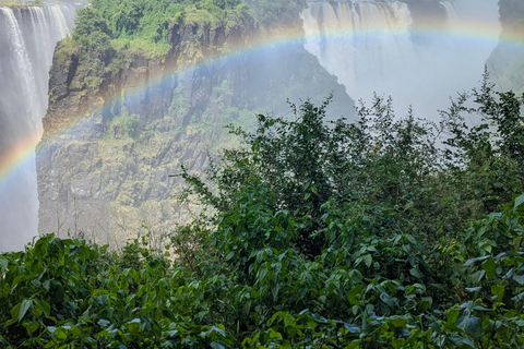 Victoria Falls Cross-Border Tour:Big Tree & Historic Bridge