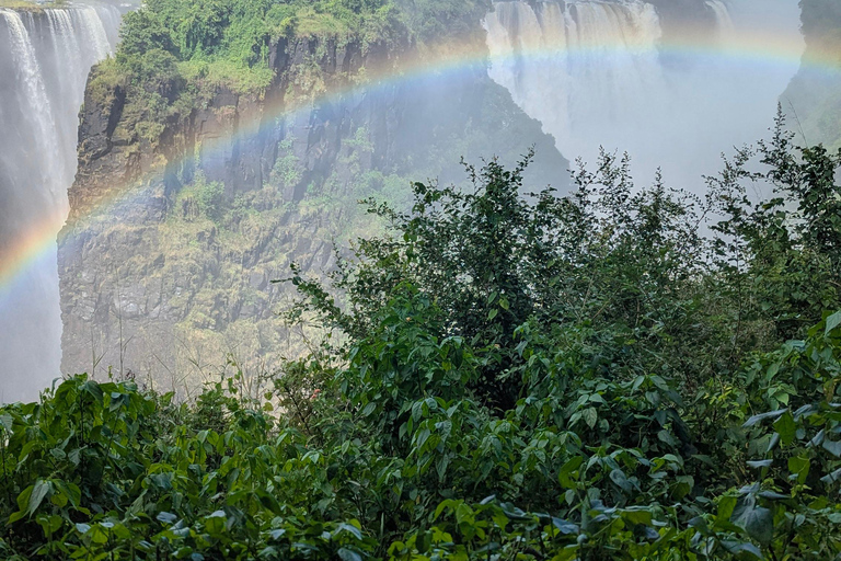 Victoria Falls Cross-Border Tour:Big Tree & Historic Bridge