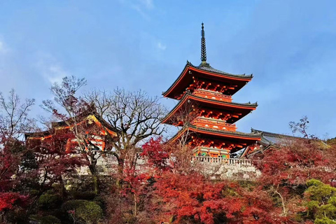 From Osaka: Kyoto and Nara Day Trip