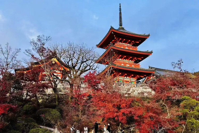 From Osaka: Kyoto and Nara Day Trip