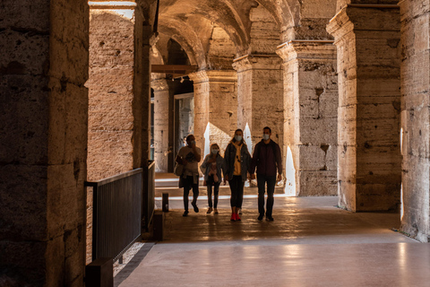 Rome : Visite guidée du Colisée, du Forum romain et de la colline Palatine