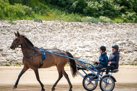 Omaha Beach: Sulky doop op het strand