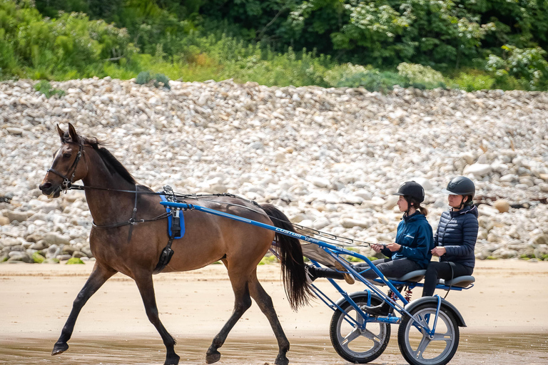 Omaha Beach : Baptême de Sulky sur la plage