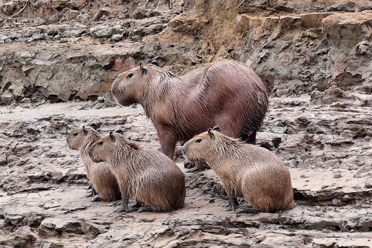 Puerto Maldonado: Tambopata River Sunset Boat Tour