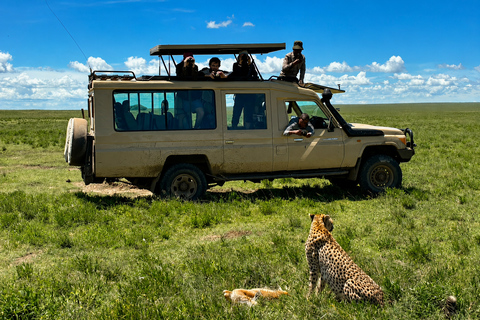 From Arusha: Ngorongoro Crater Safari with Lunch & Guide