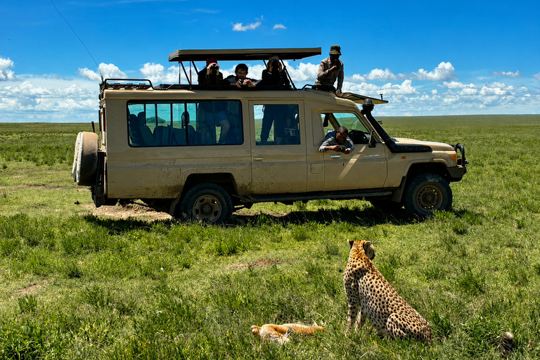 From Arusha: Ngorongoro Crater Safari with Lunch & Guide