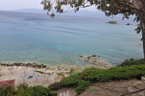“Paphos Private Tour: Akamas, Avakas, Turtle Bay & Winery”