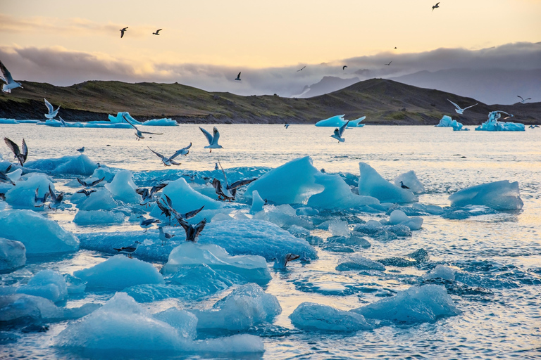From Reykjavík: Diamond Beach, Glacier Lagoon & Boat Tour Free pick up from Bus Stop #12 with BOAT ride
