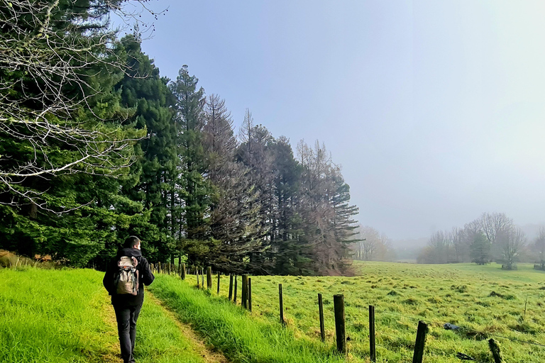 Excursión por la naturaleza de Auckland