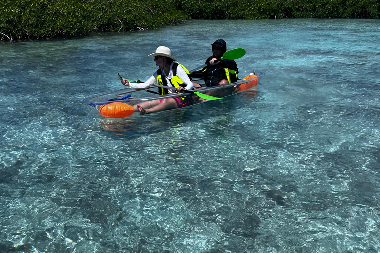 Providenciales Mangrove Kayak Tour With Turtle Sightings