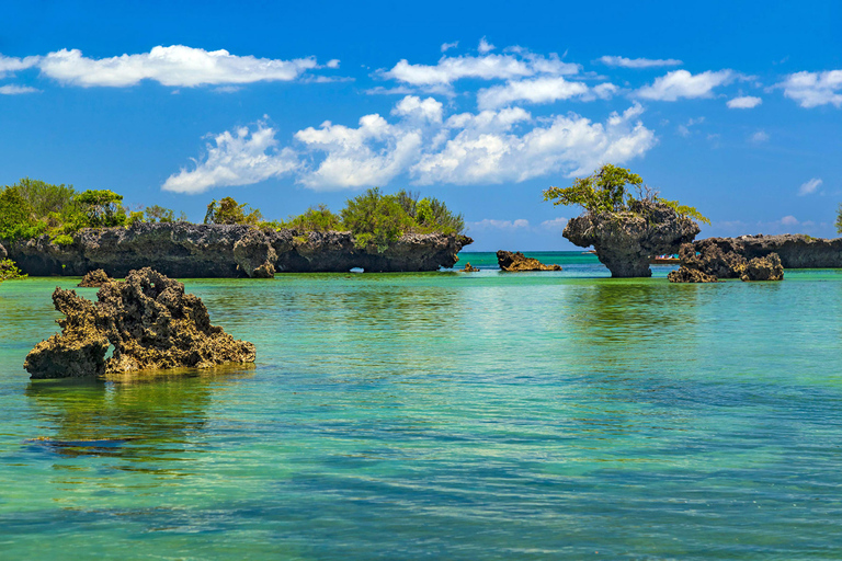 Zanzibar: Safari Blue Adventure - wycieczka 1-dniowa