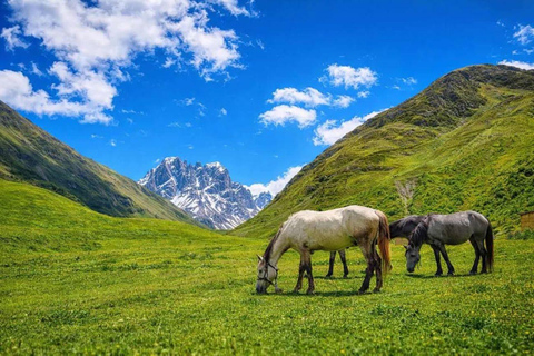 Tbilisi: Private Juta Village and Chaukhi Ridge Hike