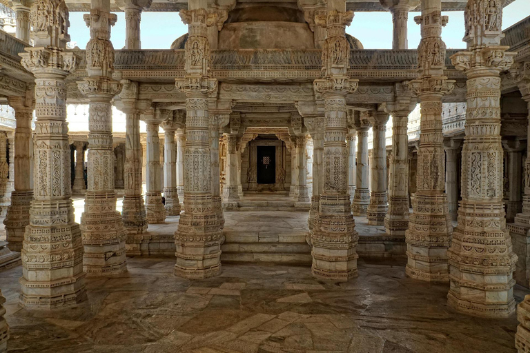 From Udaipur: 3-Day Jawai Leopard Safari & City Tour