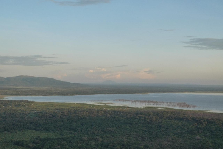 Arusha: Tagestour zum Lake Manyara National Park mit Mittagessen