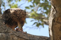 Panorama Route - Housity