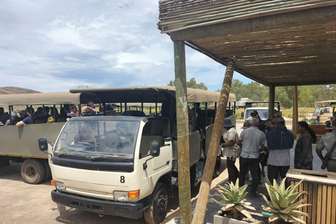 Kaapstad Big 5 Safari-dagtour met ophaalservice vanaf je hotel en GameDriveBeleef een spannende Big-5 safari in Kaapstad