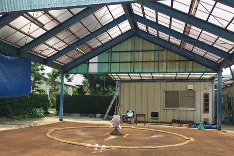 Nagoya: Besuch des morgendlichen Sumo-Trainings mit englischem Guide