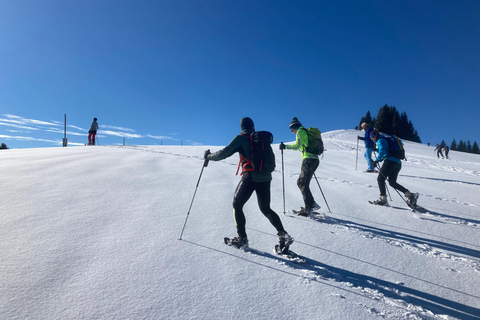 Snowshoeing with Freeride Airboard