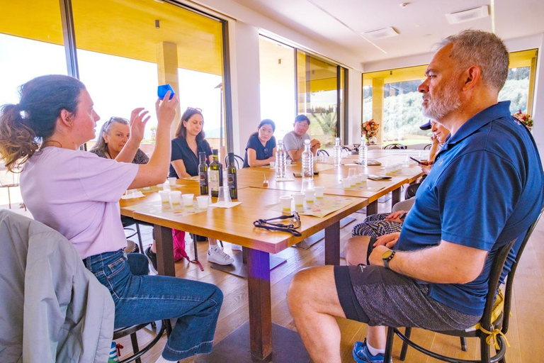 Florença: Fiesole E-Bike Tour com prova de azeite