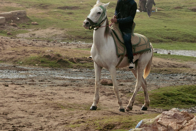 Costa Brava: Baix Ter Horseback Riding Tour