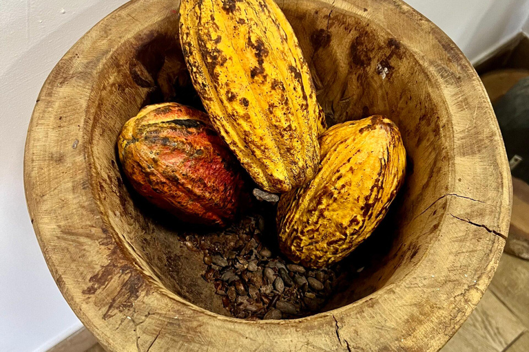 Excursão cultural a Altos de Chavón e La Romana com sabores locais