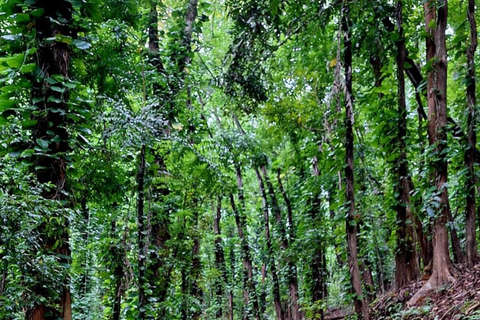 Galle Mirissa Tangalle Hiriketiya To Ella Adventure Transfer