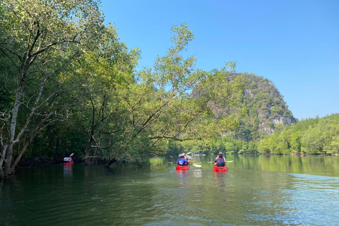 Khao Lak: Three Waters—Mangroves, Turtles, Waterfall