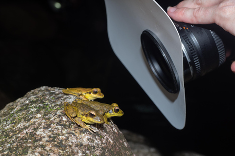 Cairns: nachtwandeling in de botanische tuin van Cairns