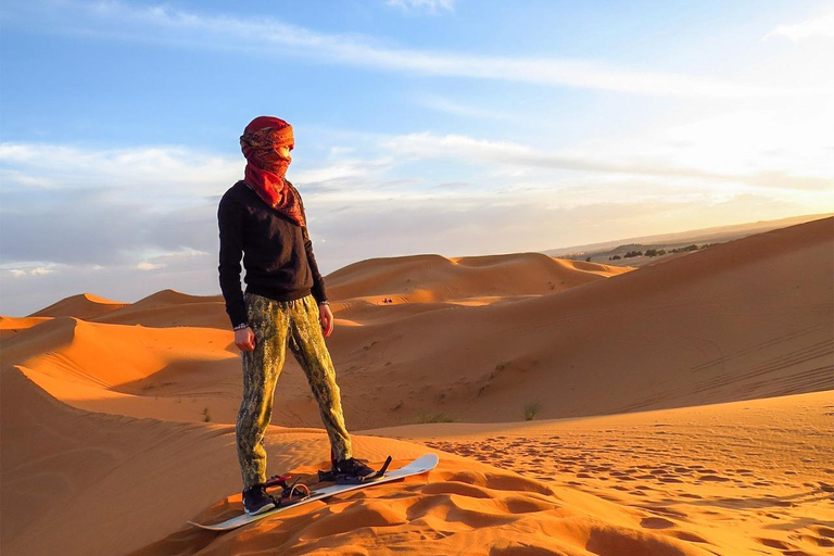 Riad: Excursión al desierto, paseo en camello y quad