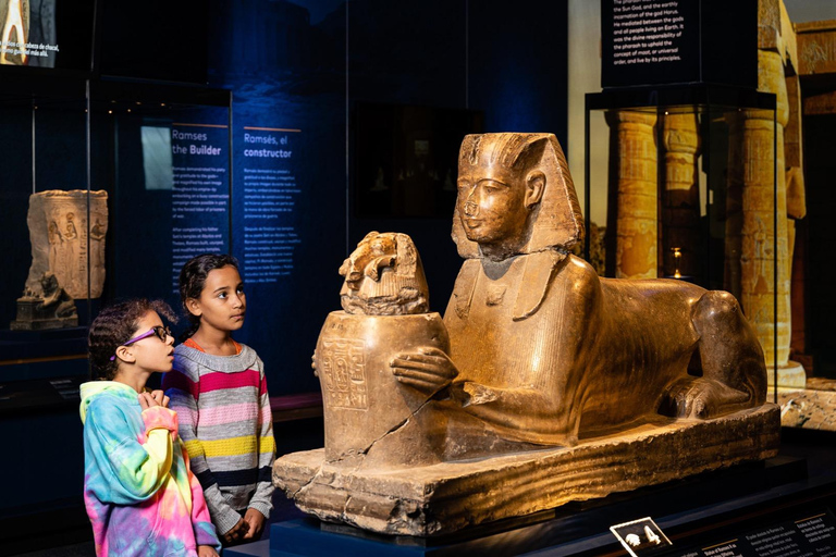 Cologne: Ramses &amp; the gold of the pharaohs - Admission ticket