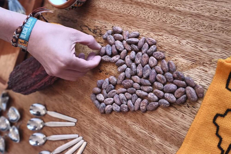 布鲁塞尔：从可可豆到巧克力条的手工制作工坊布鲁塞尔：从可可豆到巧克力条的手工巧克力制作工坊