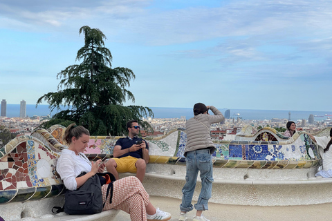 Il giardino di Gaudí: tour guidato del Parco Güell