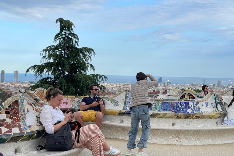 Il giardino di Gaudí: tour guidato del Parco Güell