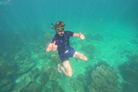 Koh Samui: Pig Island Tour by Speedboat with Snorkeling Private Tour or Cruise Ship Option