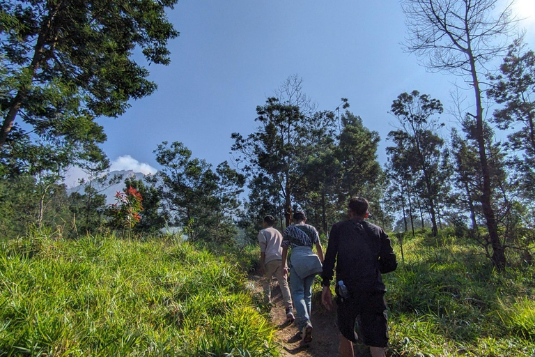 From Yogyakarta: Mount Merapi Trekking & Cave Tubing Tour