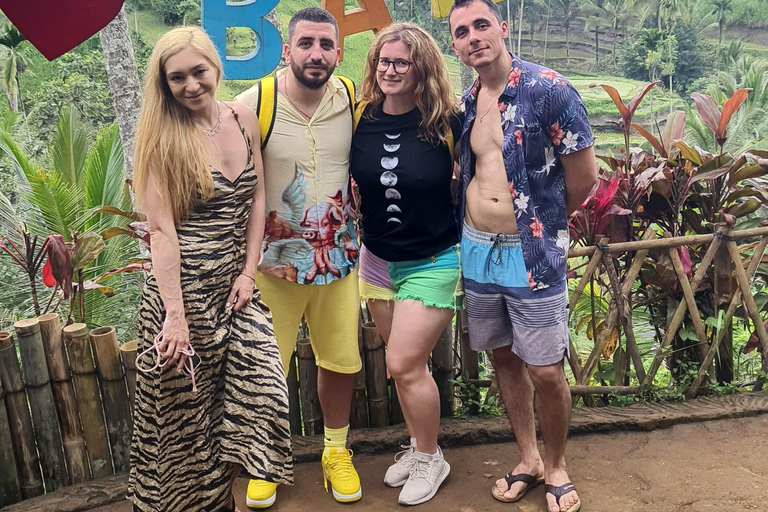 乌布猴林、梯田、秋千、寺庙和瀑布乌布猴林、水稻梯田、秋千、寺庙和瀑布