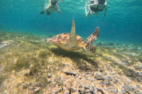 Gili island Snorkelling by private glass bottom boat