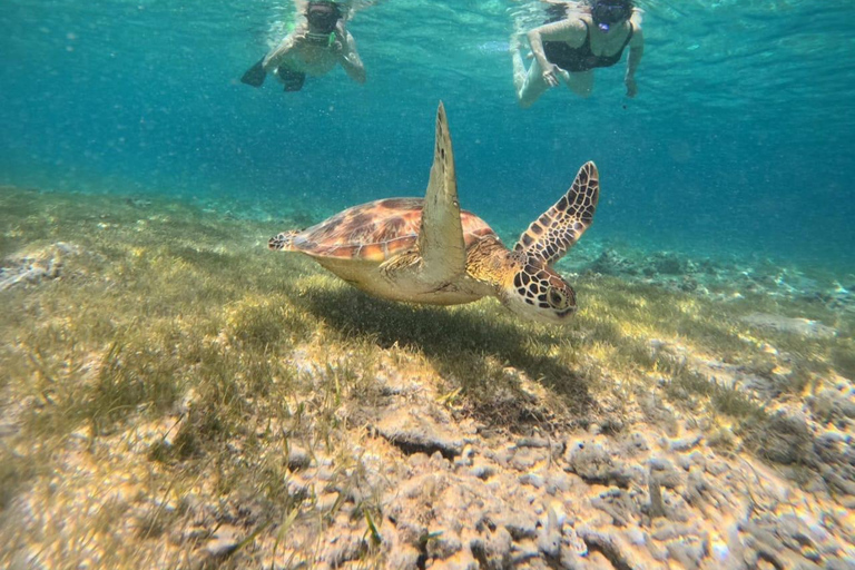 Gili island Snorkelling by private glass bottom boat