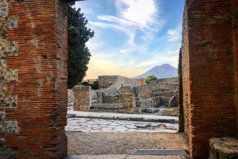Au départ de Sorrente : Visite guidée de Pompéi en petit groupe