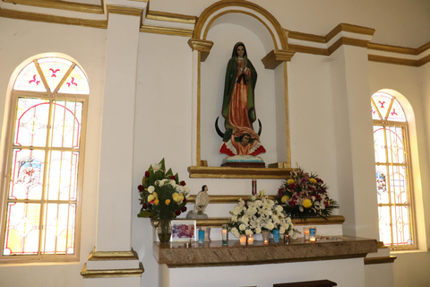 Cabo Encounter with Optional Clear Boat and Lunch