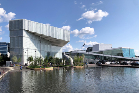 Oslo: Grote stadsrondleiding en fjordcruiseOslo: grote stadstour en boottocht langs de fjorden