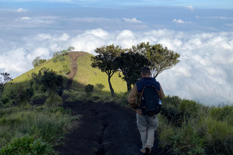 Mount Merbabu Sunrise with Transport, Ticket All InclusiveFrom Borobudur: Merbabu Sunrise All Inclusive
