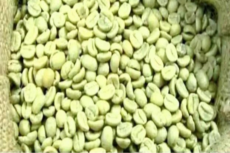 3-Day Coffee Farm & Local Culture Experience in Yirgalem