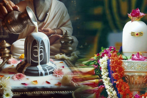 Pashupatinath Rudrabhishek Balbhog Puja & Guheshwari Darshan