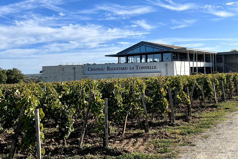 Da Bordeaux: escursione a Saint-Emilion con pranzo e vinoDa Bordeaux: gita di un giorno a Saint-Emilion con pranzo e vino