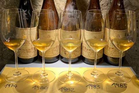 Degustação de vinhos com petiscos locais em Pisa, perto da Torre